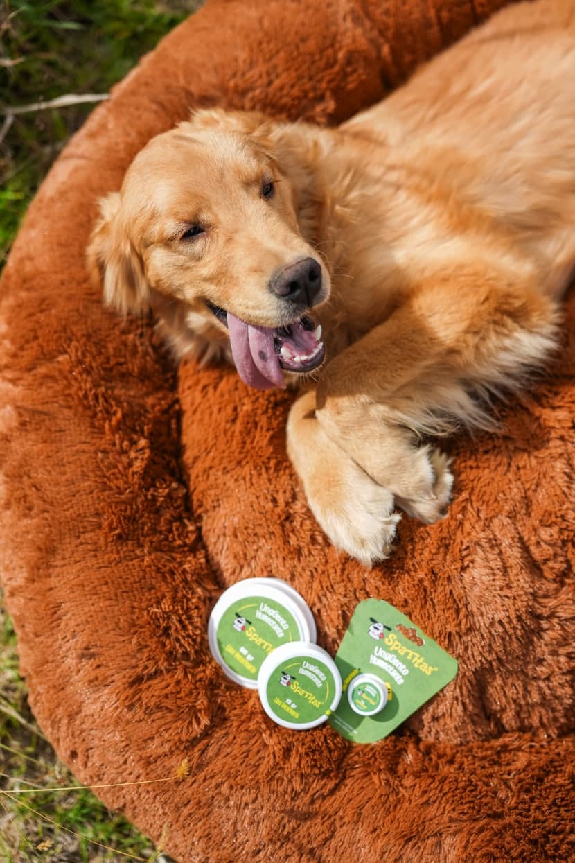 Perro descansando junto a varias presentaciones del ungüento Spatitas