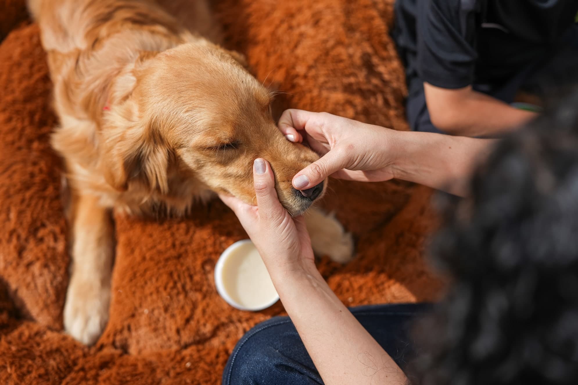 Persona abriendo el envase de Ungüento Humectante Spatitas junto a su perro