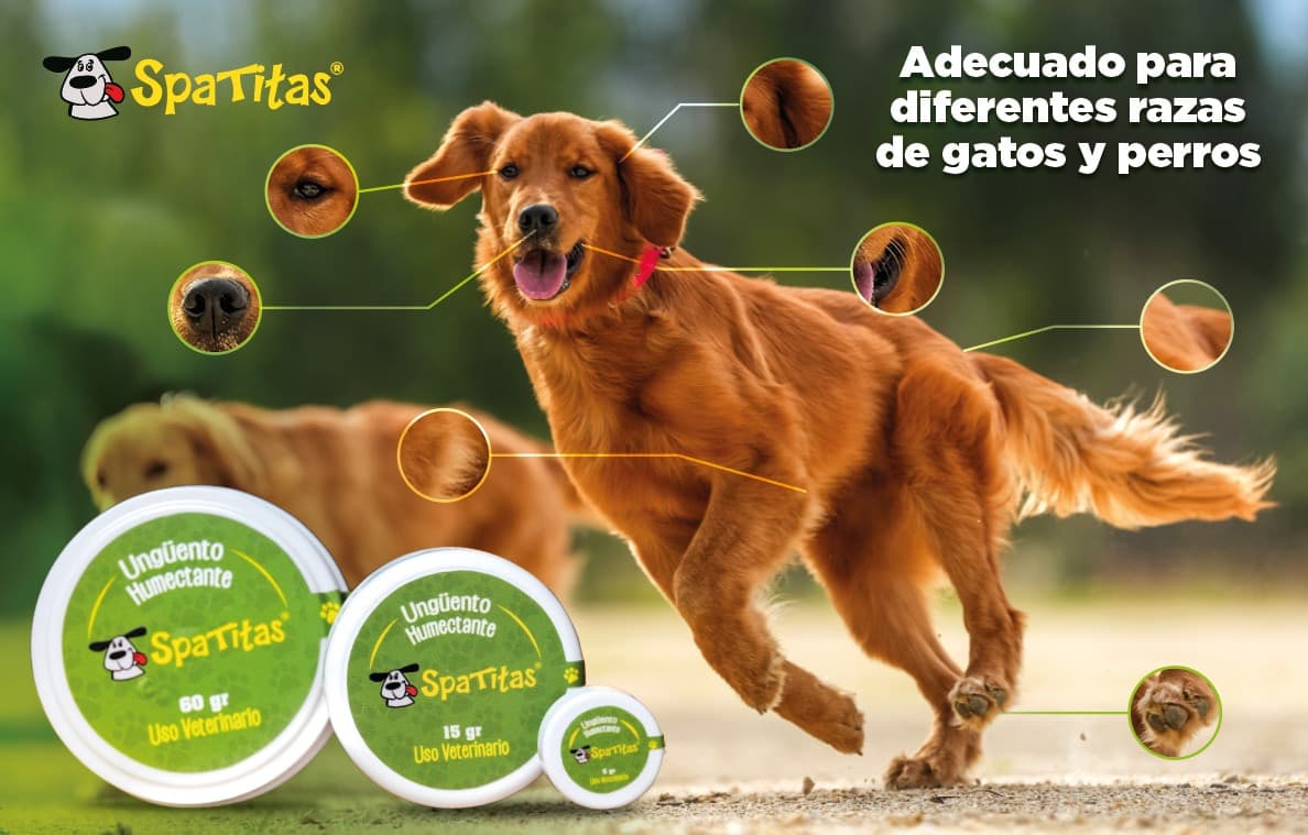 Infografía Spatitas con las zonas de aplicación: trufa, orejas, almohadillas, codos y cola